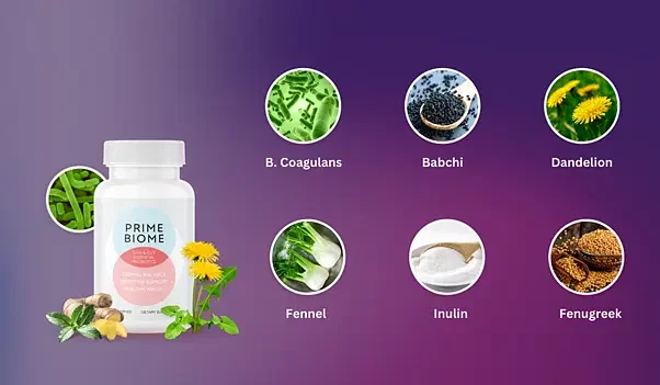 PrimeBiome Reviews
